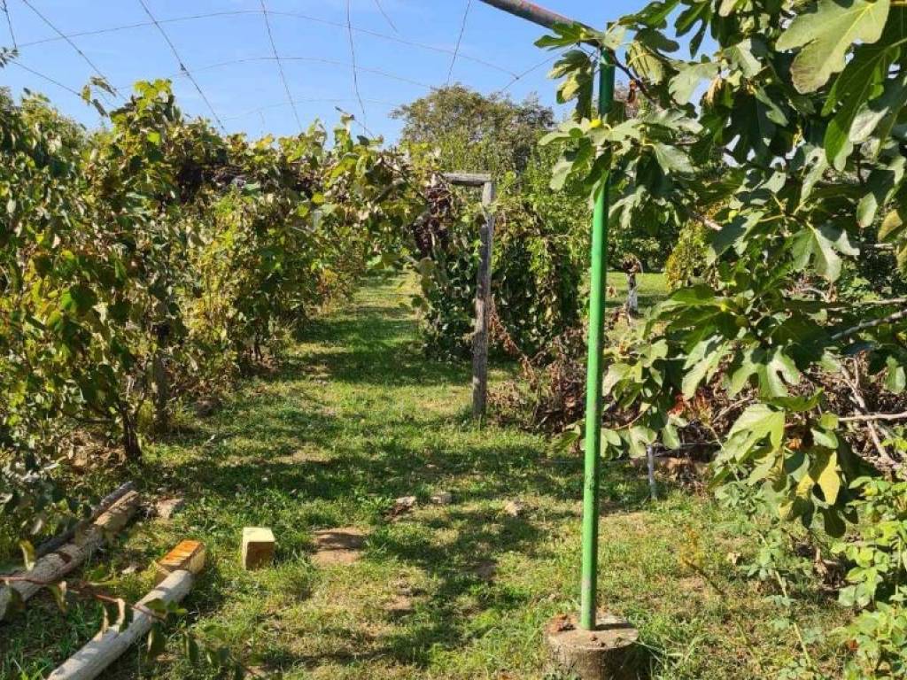 Foto 16