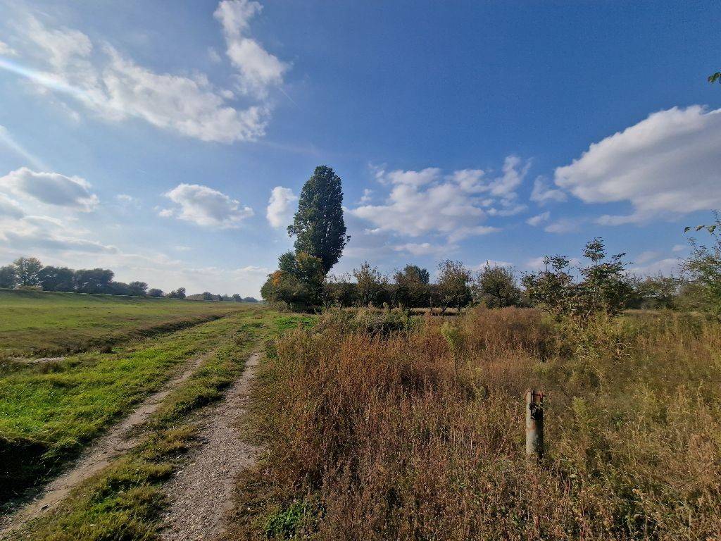 Foto 19