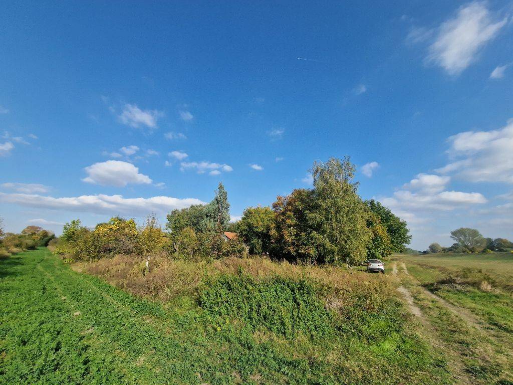 Foto 23