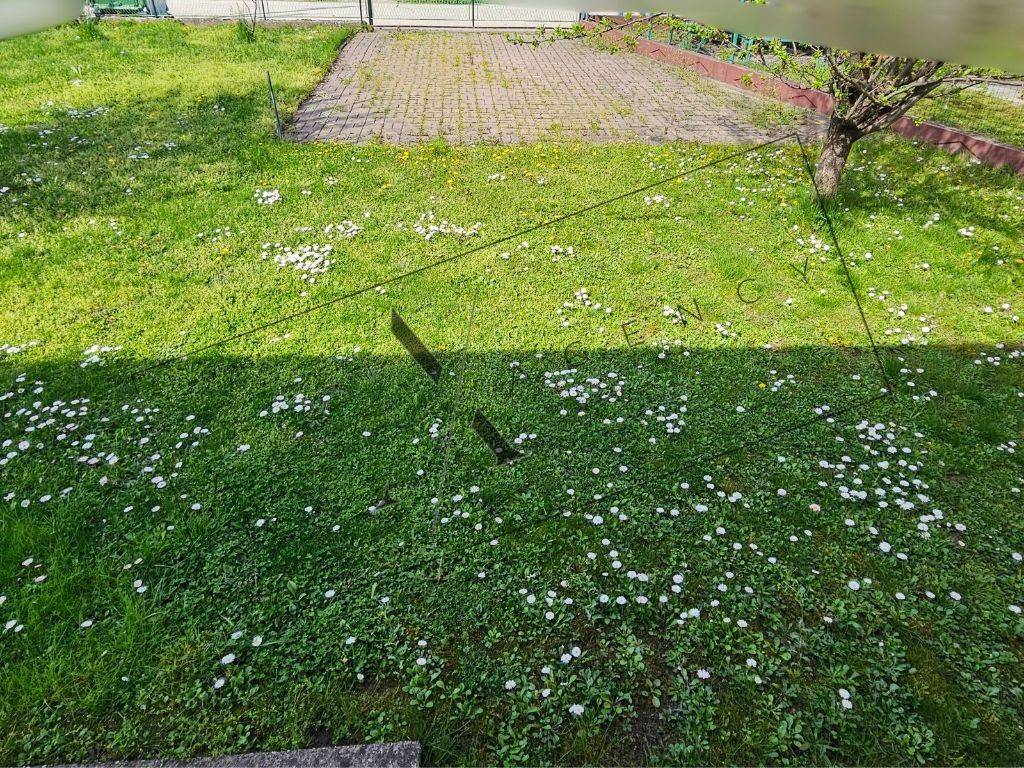 Foto 21