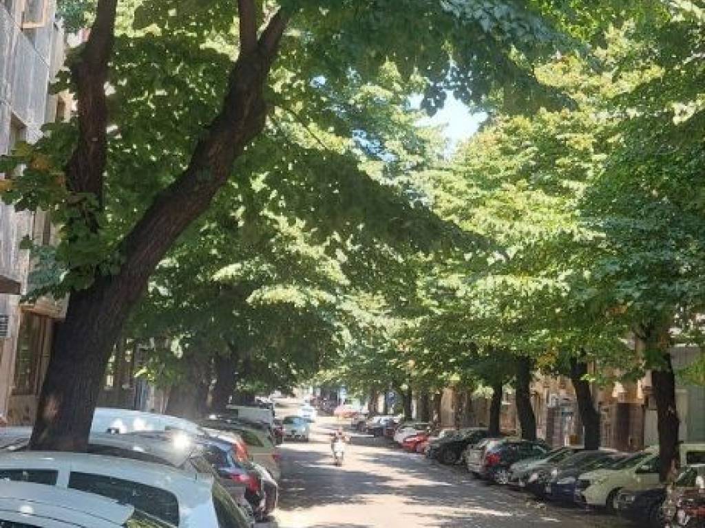 Foto 33