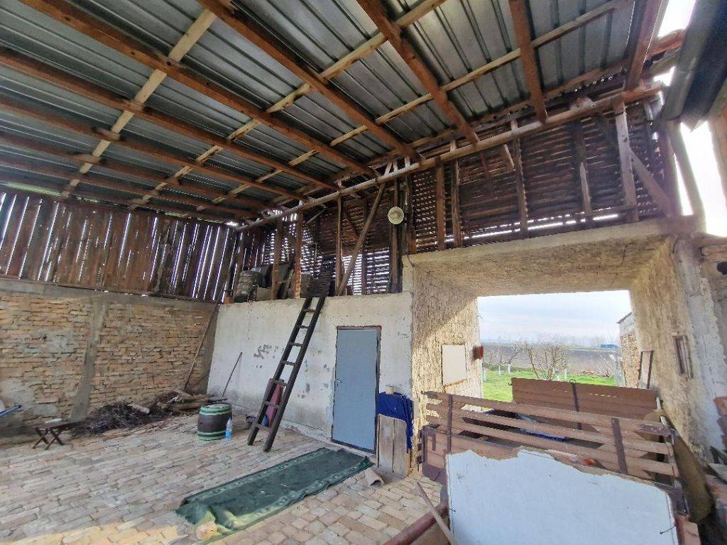 Foto 15
