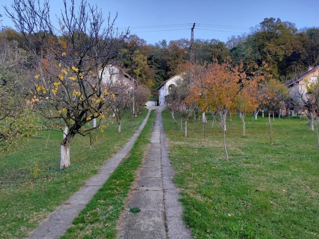 Foto 29