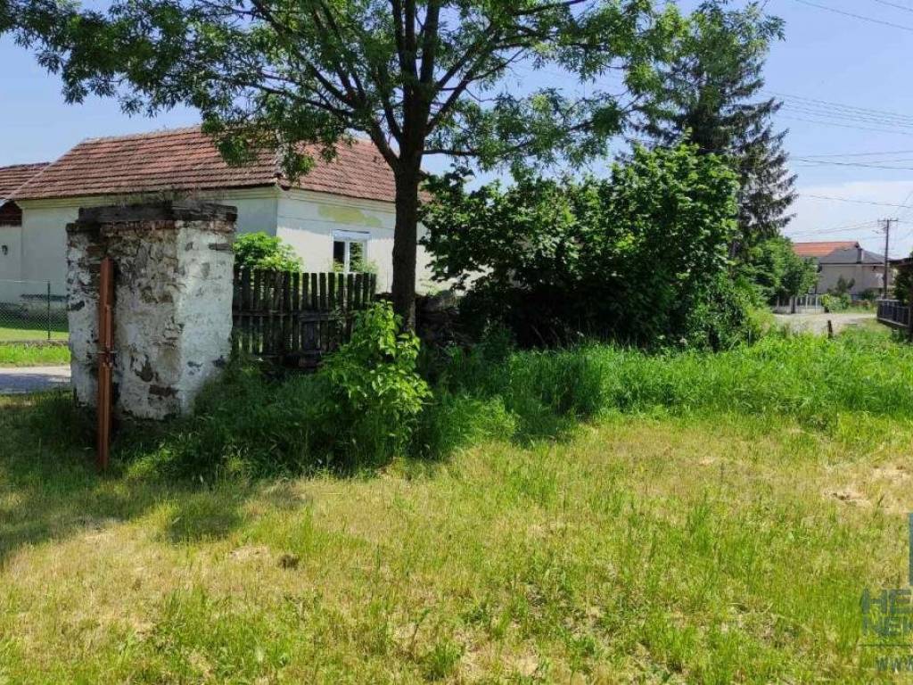 Foto 21