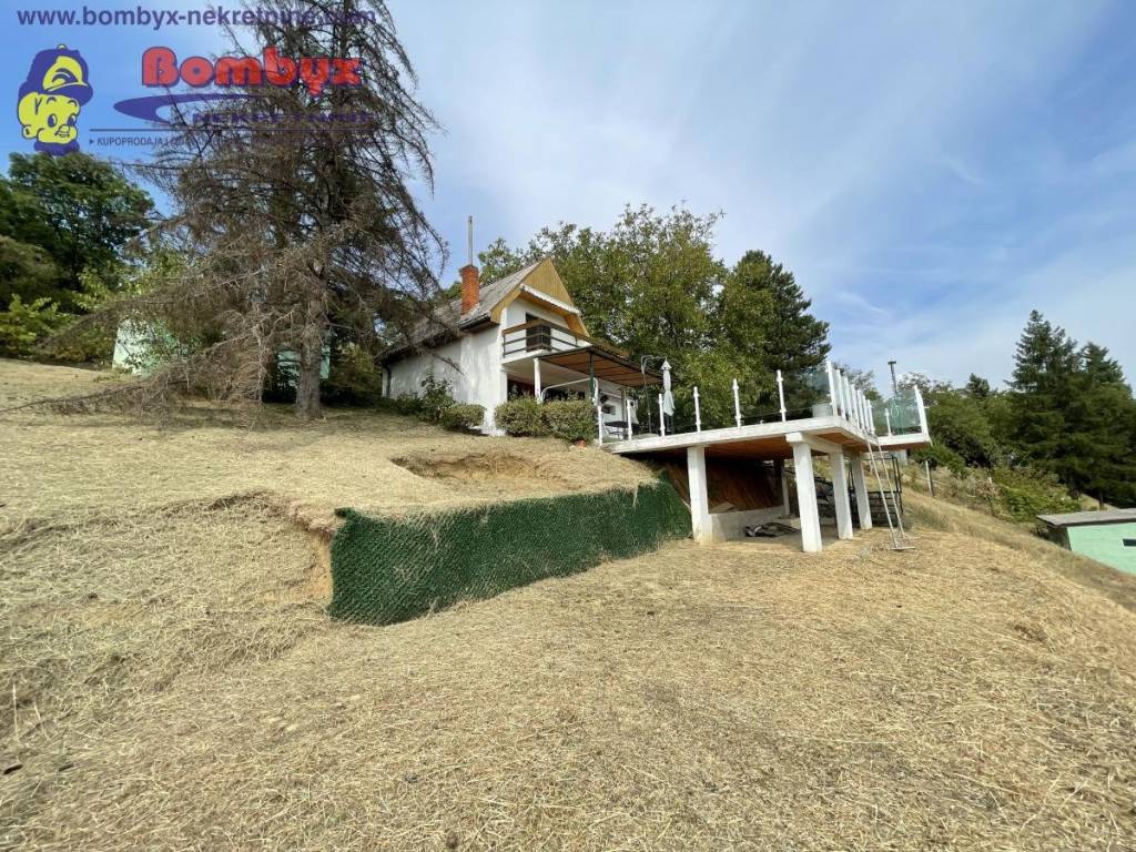 Foto 19