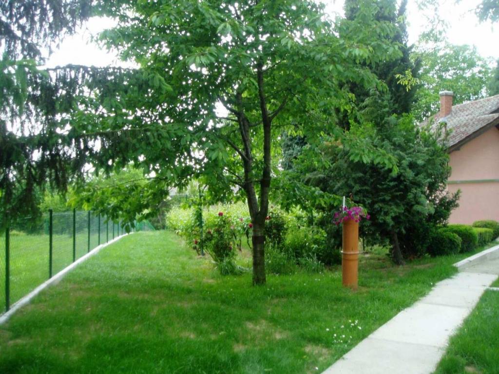 Foto 24