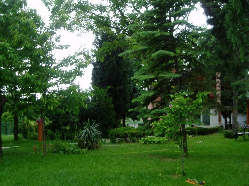 Foto 31