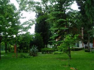 Foto 31