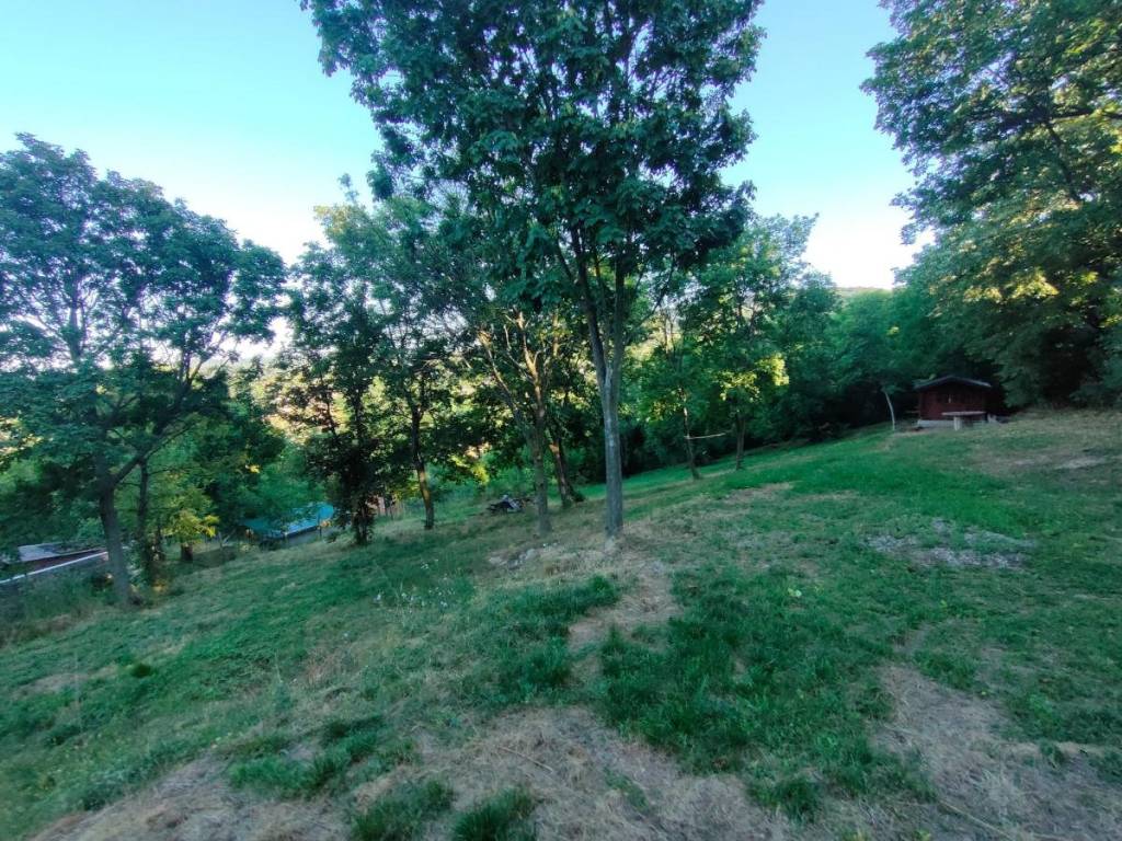 Foto 12