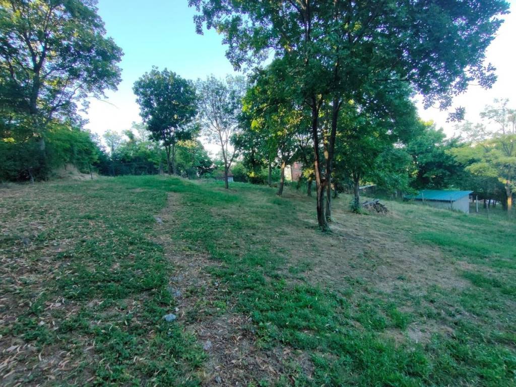 Foto 17
