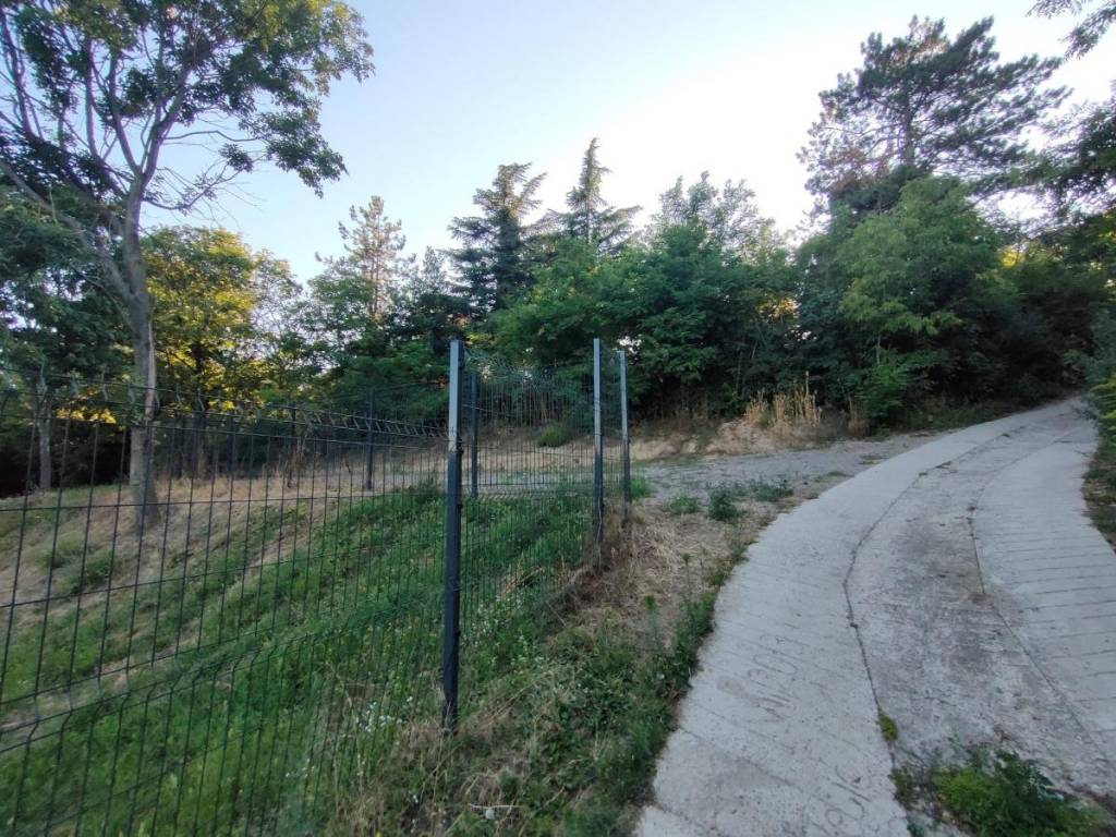 Foto 19