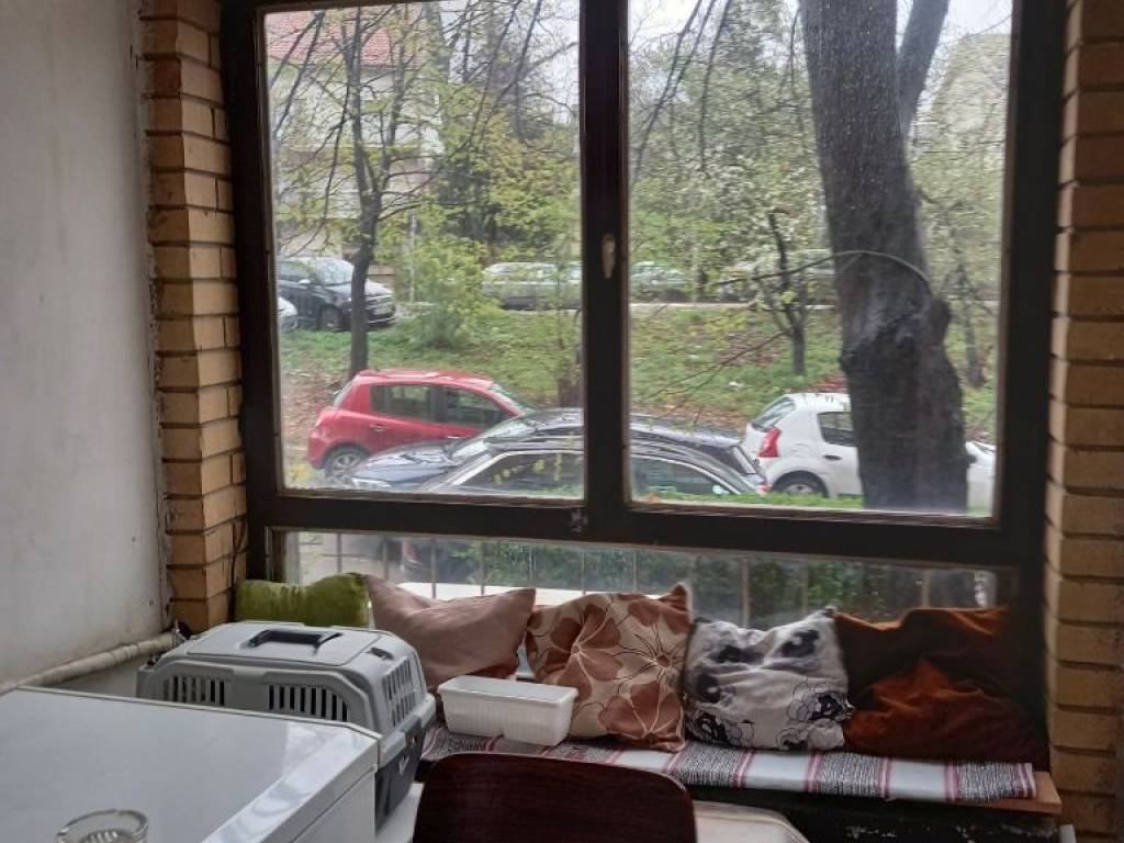 Foto 22