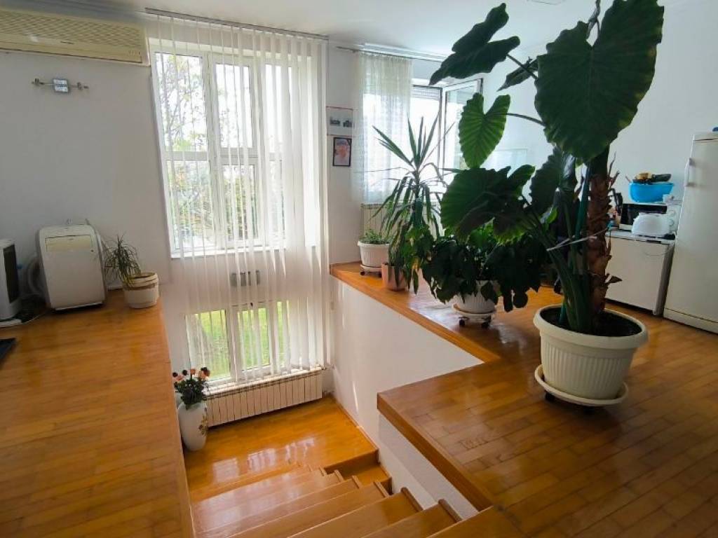 Foto 15