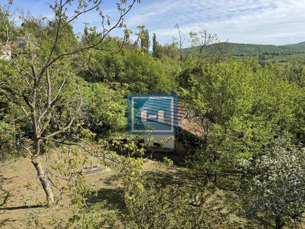 Foto 19