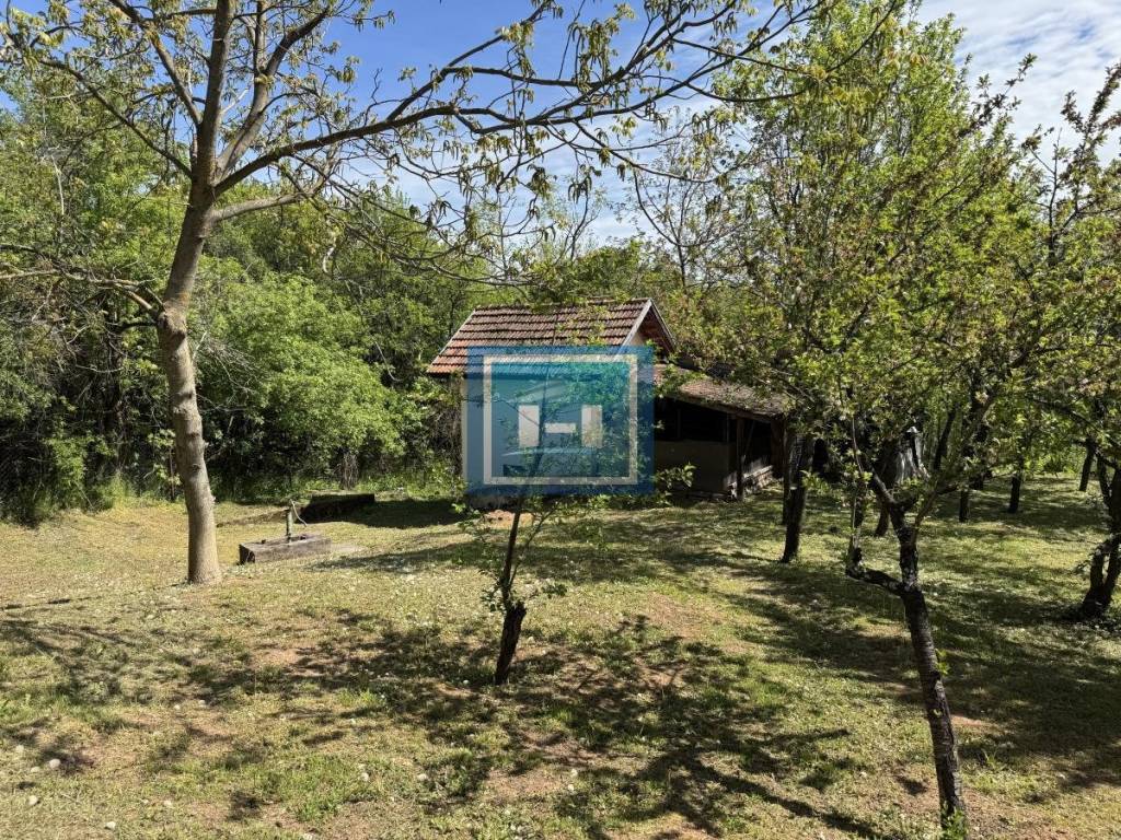 Foto 31