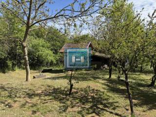 Foto 31