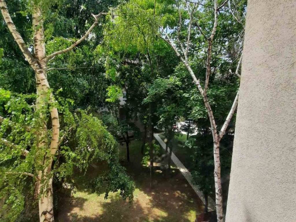 Foto 29