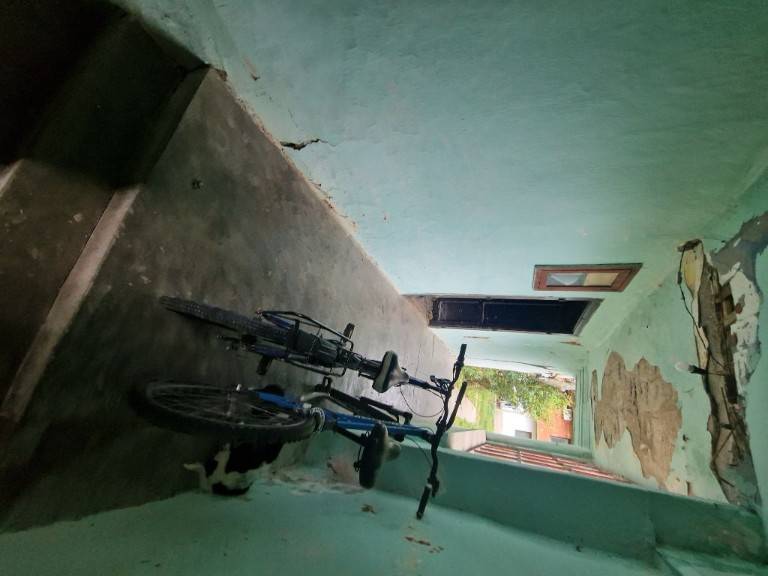 Foto 41