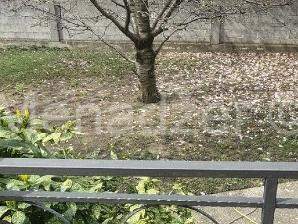 Foto 30