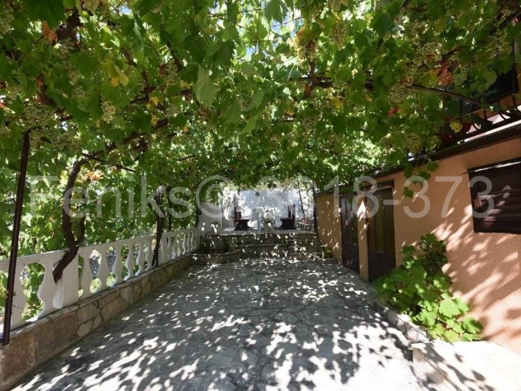 Foto 21