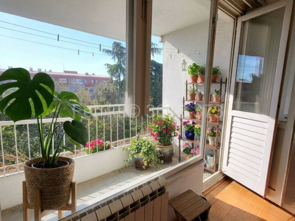 Foto 23