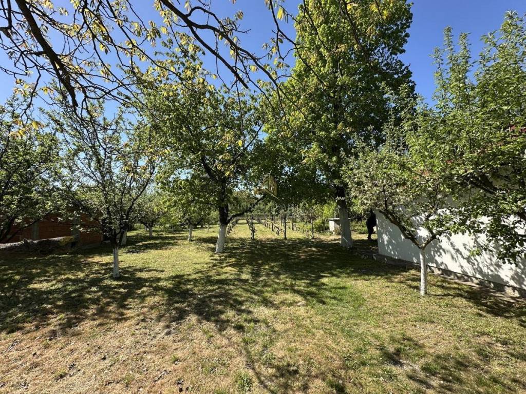 Foto 20
