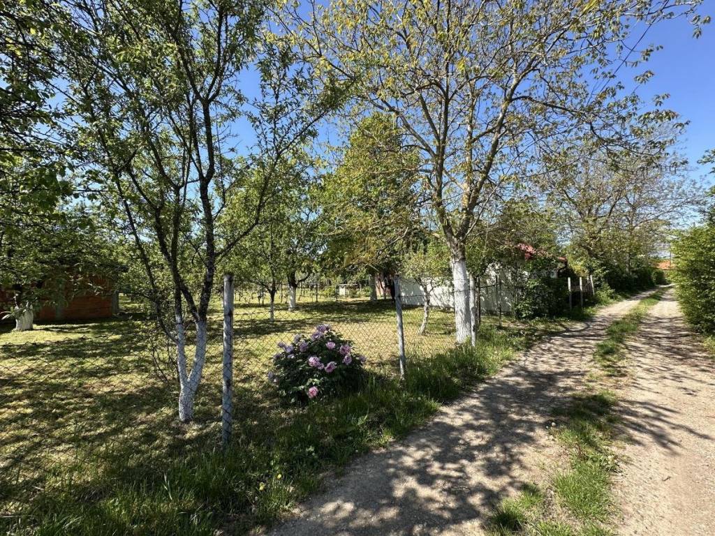 Foto 21