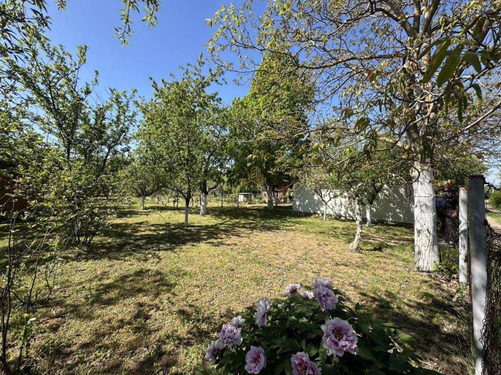 Foto 22