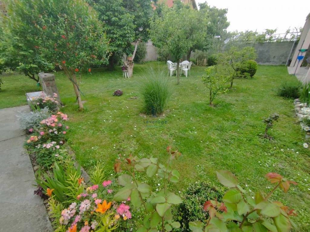 Foto 22