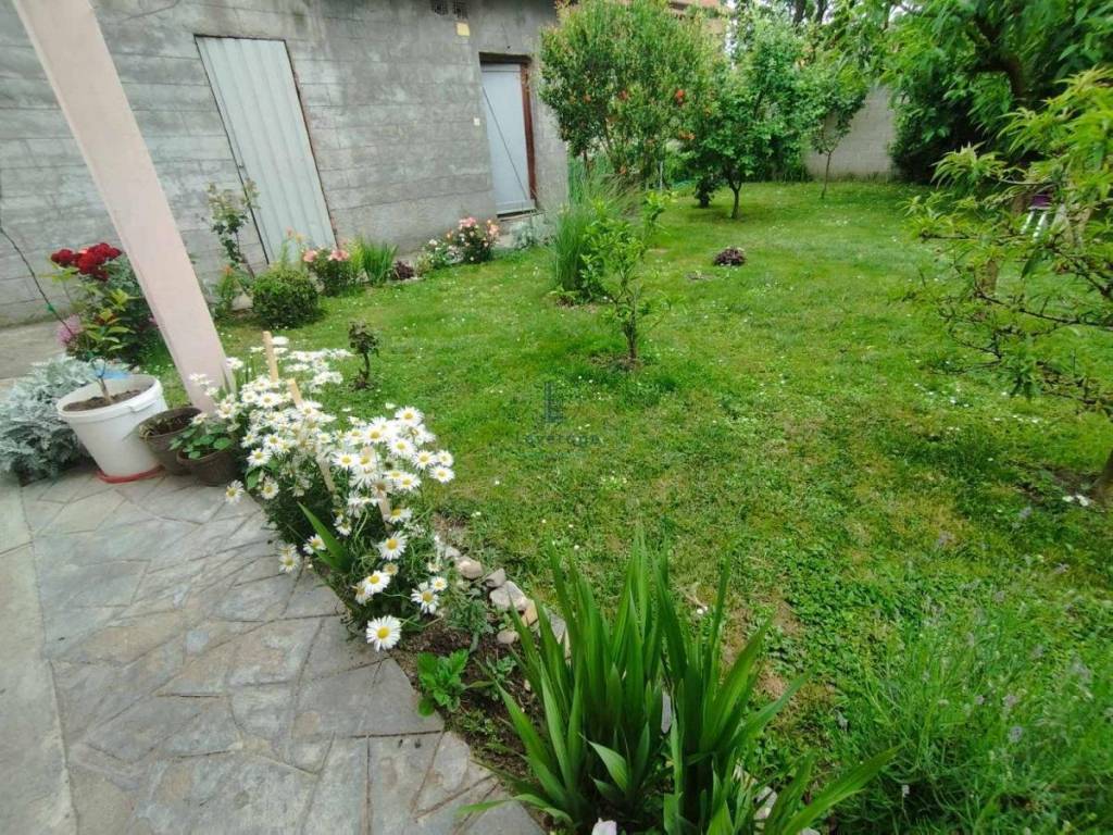 Foto 23