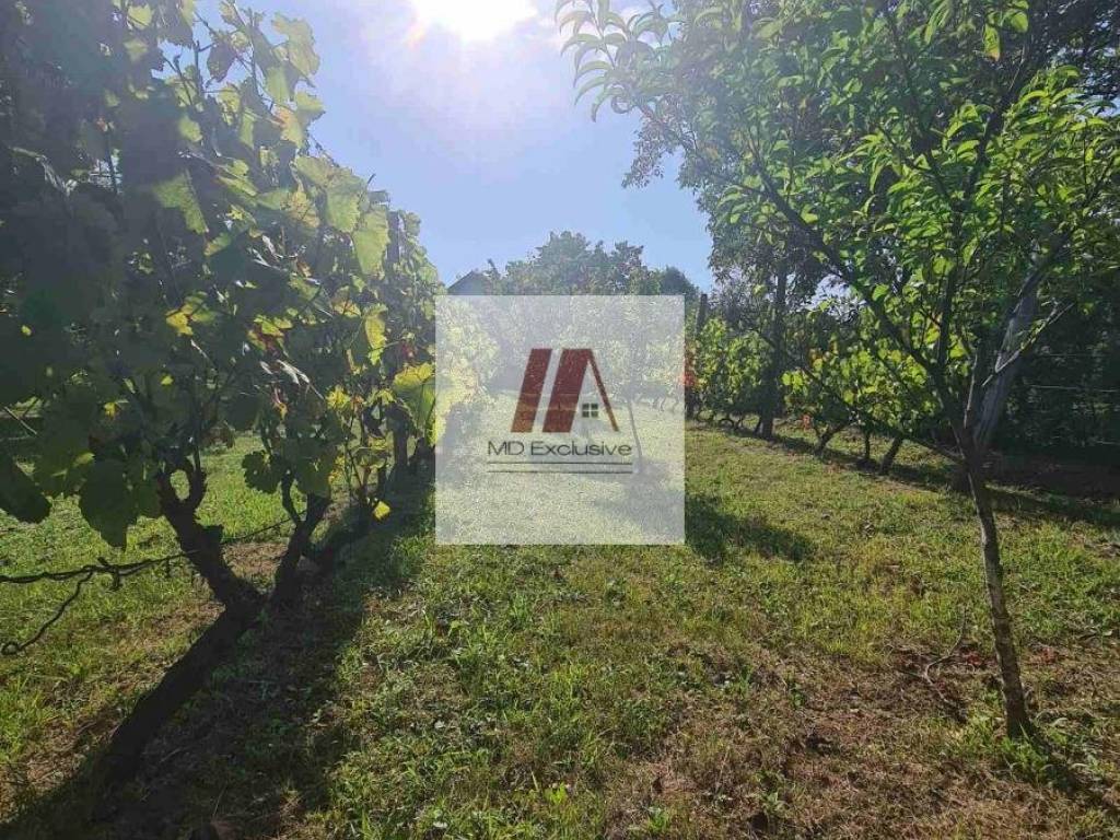 Foto 21