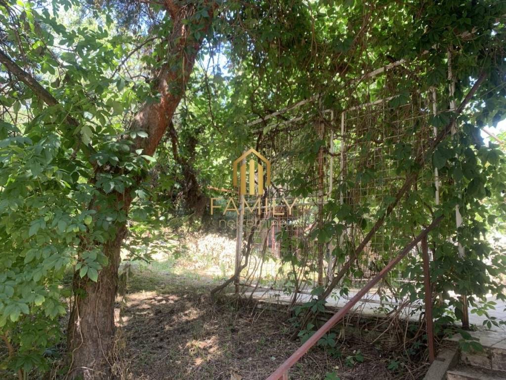Foto 30