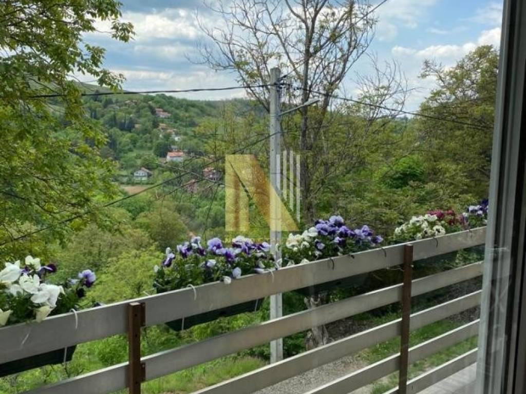 Foto 50