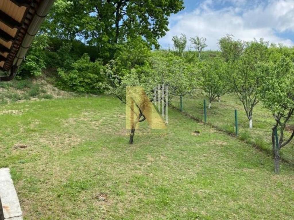 Foto 51