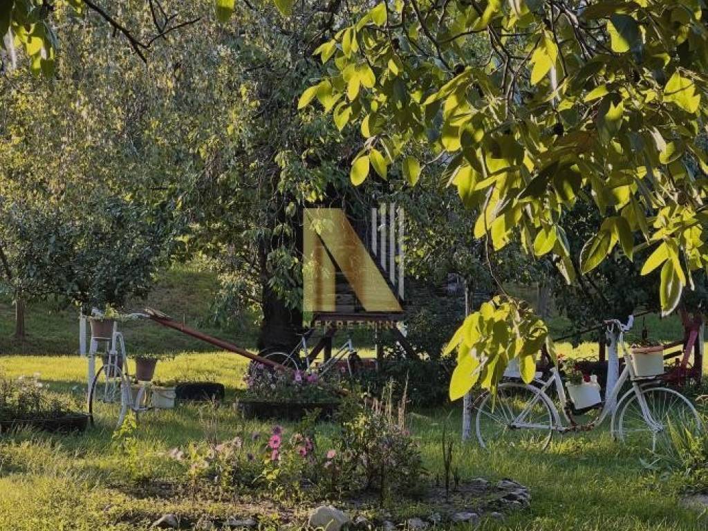 Foto 23