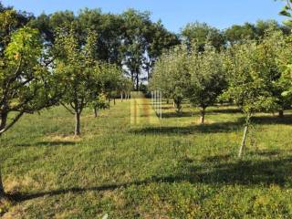 Foto 54