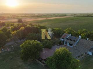 Foto 64
