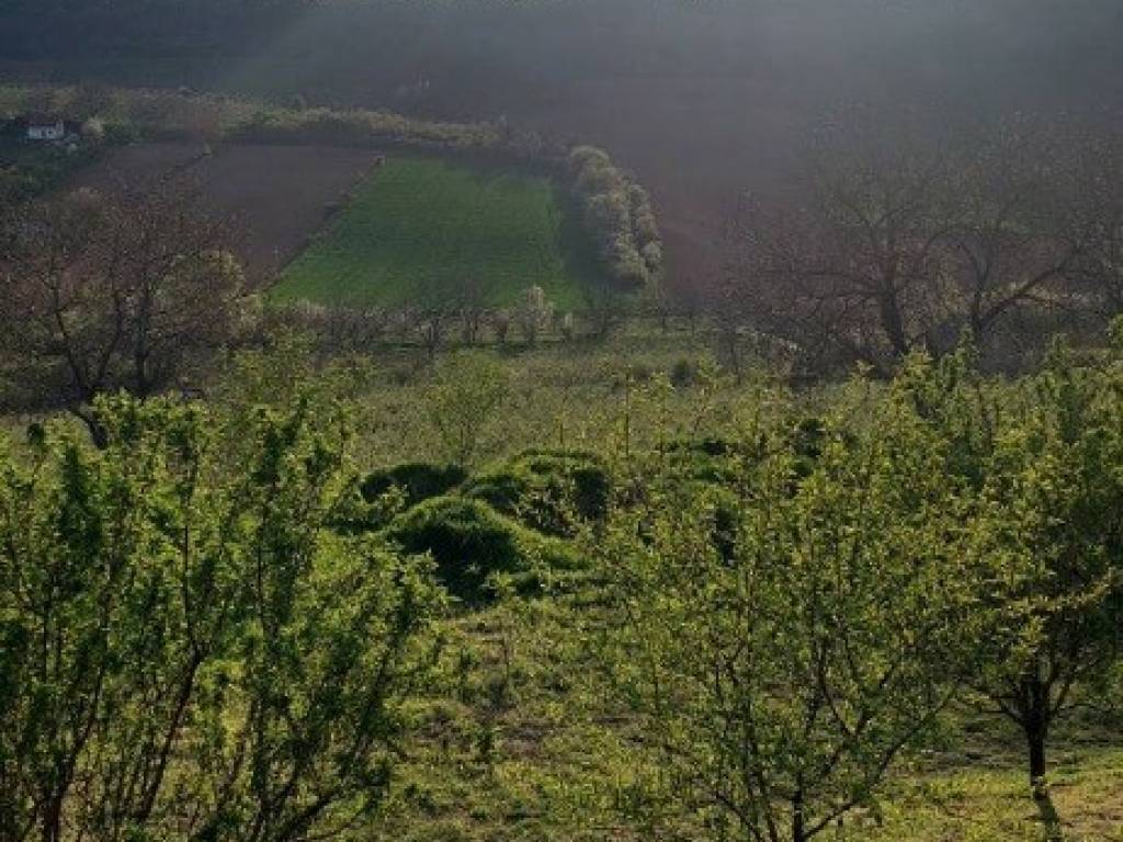 Foto 40