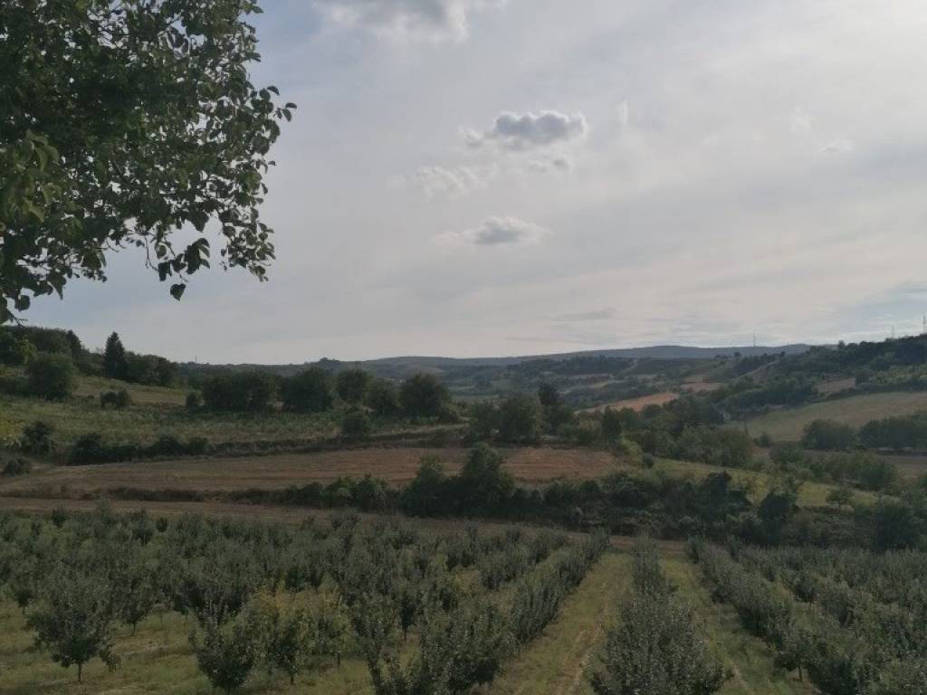 Foto 42