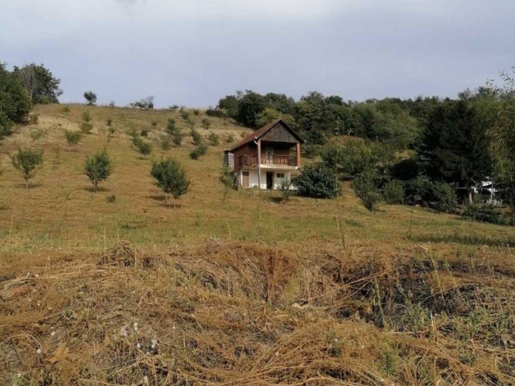 Foto 43