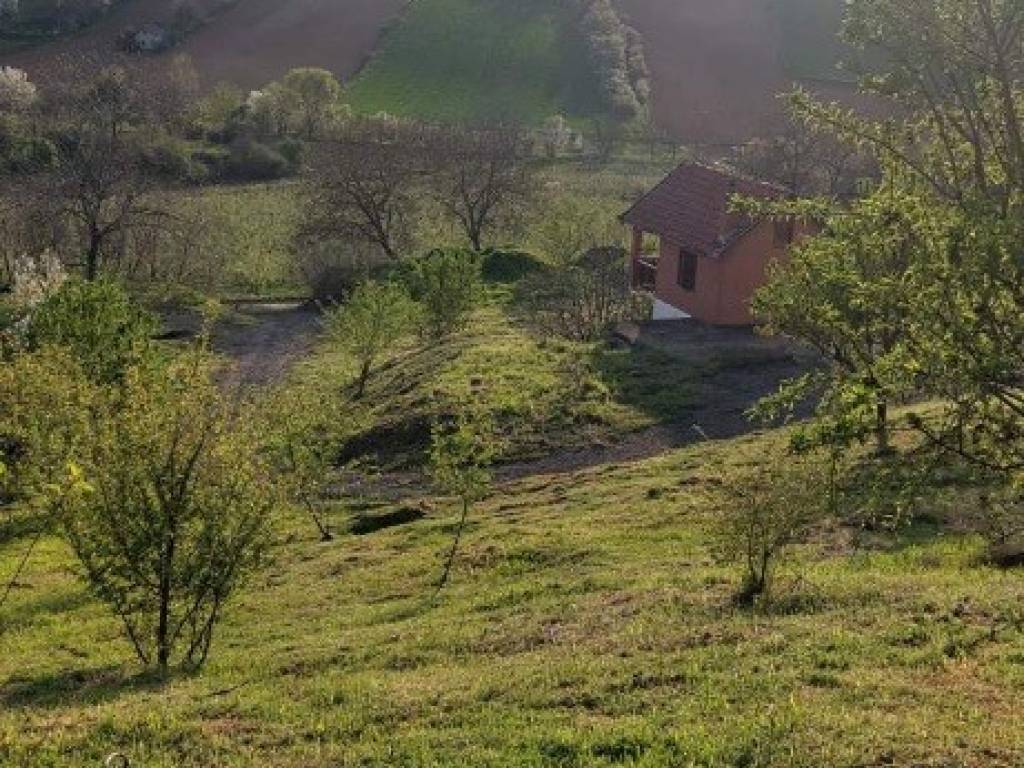 Foto 46