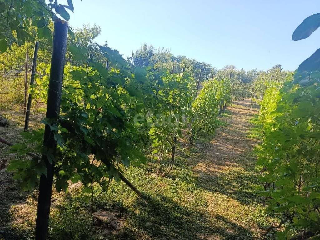 Foto 21