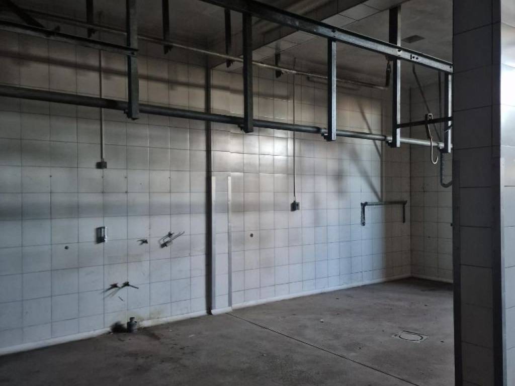 Foto 14