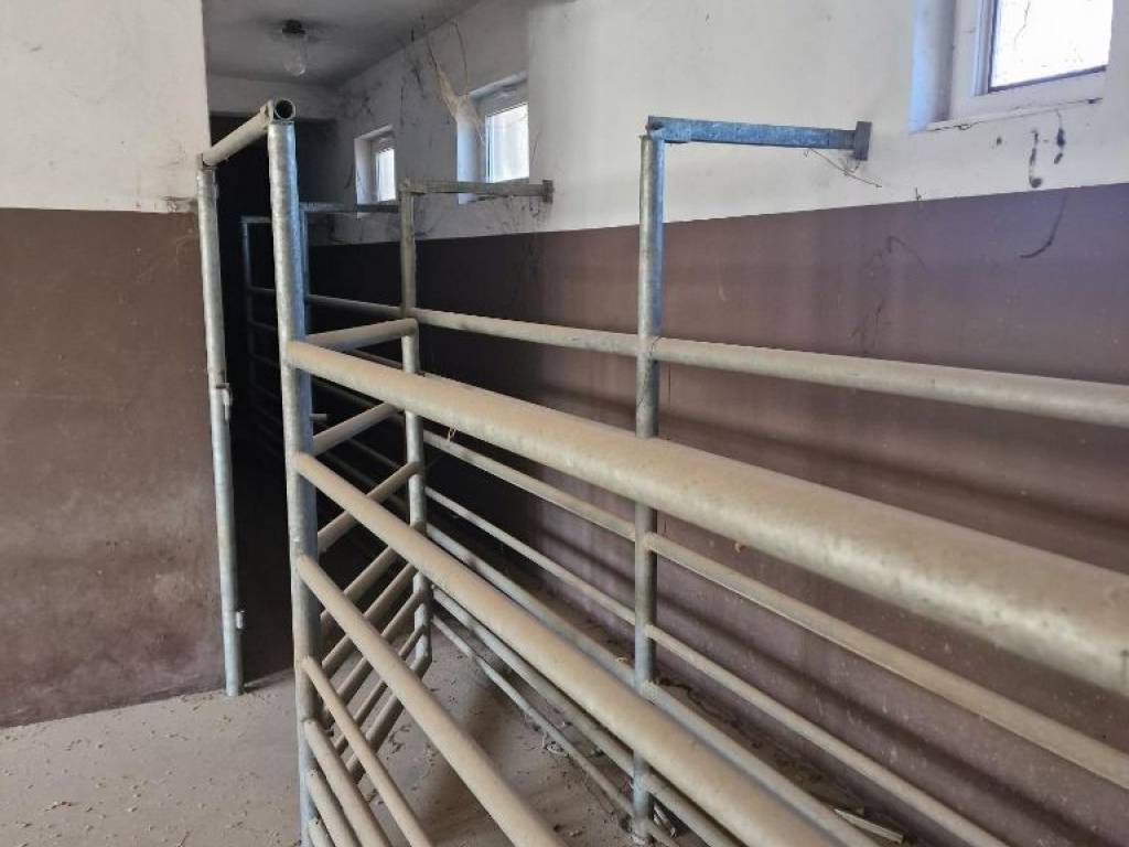 Foto 17
