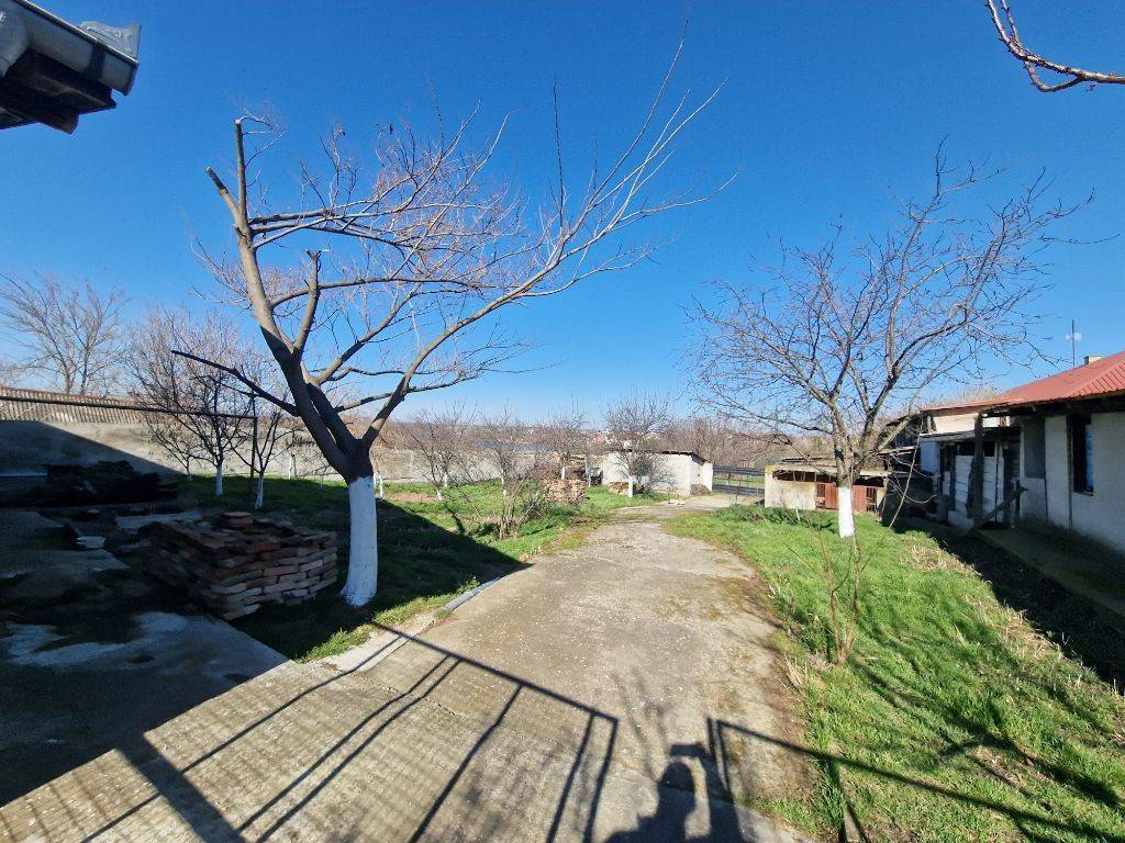 Foto 12