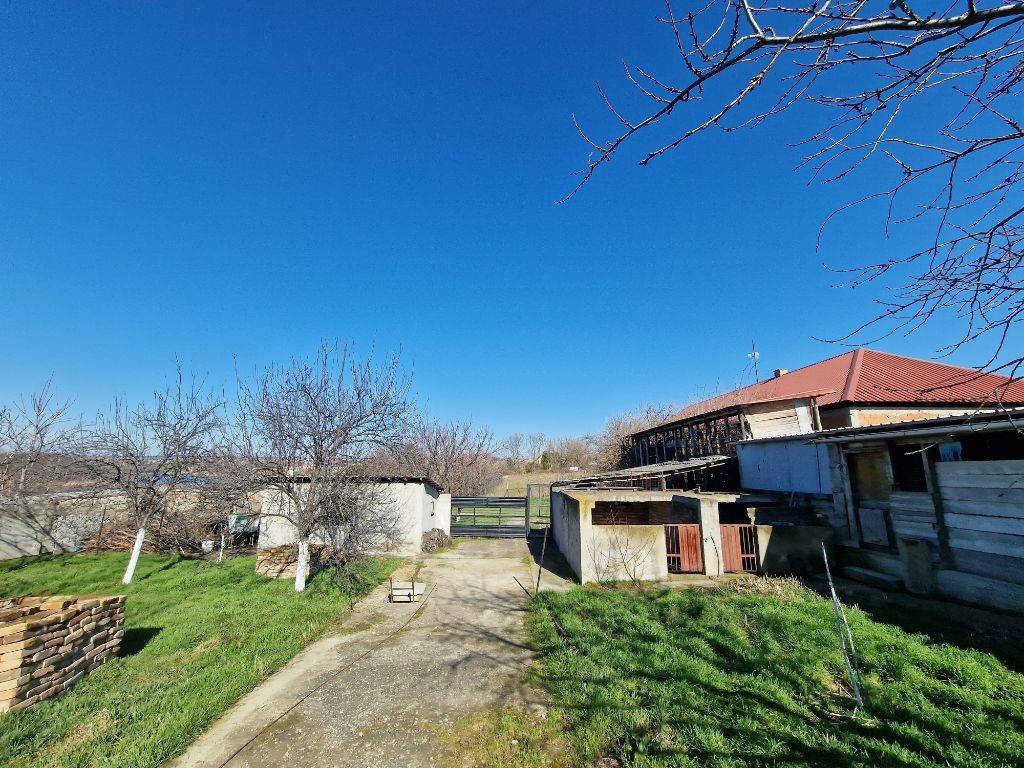 Foto 15