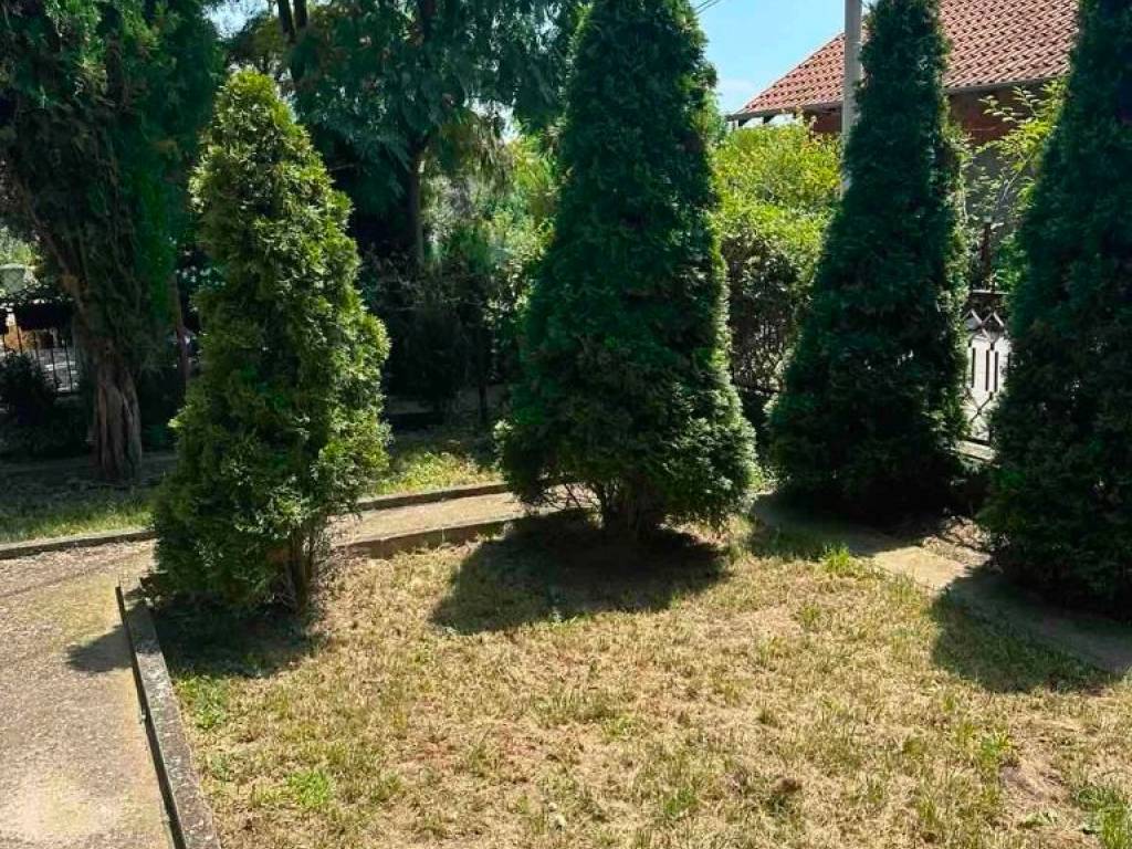 Foto 23