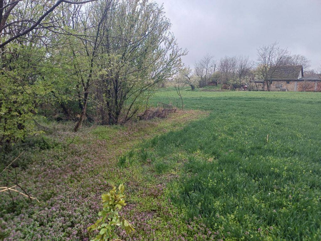 Foto 21