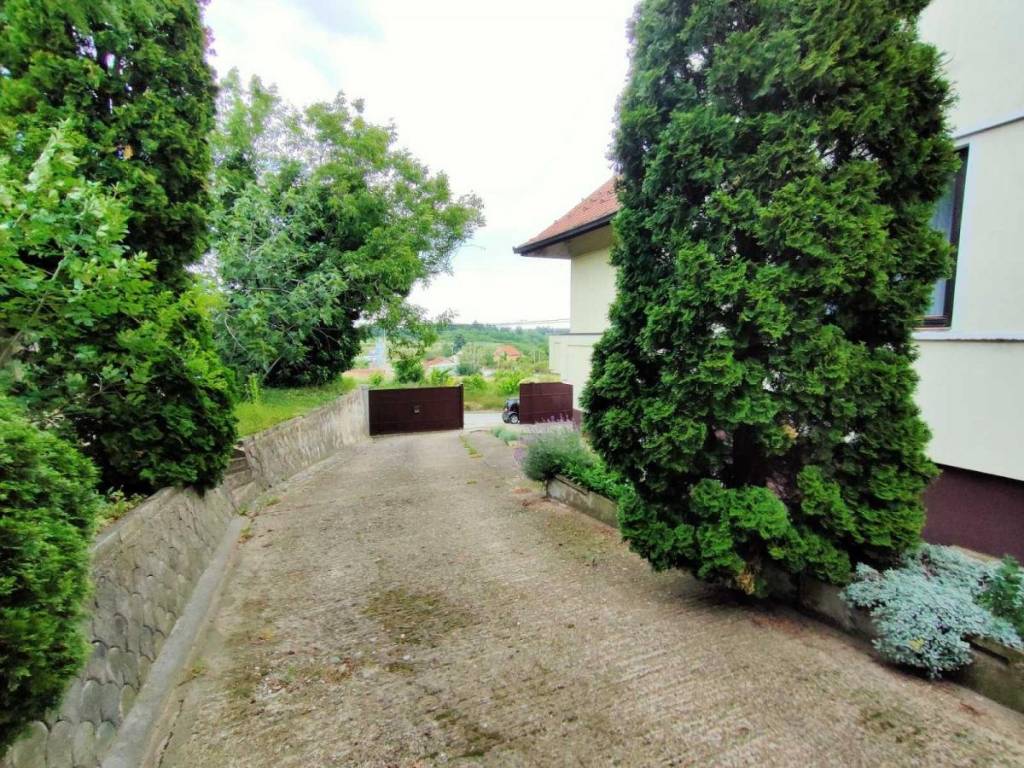 Foto 38