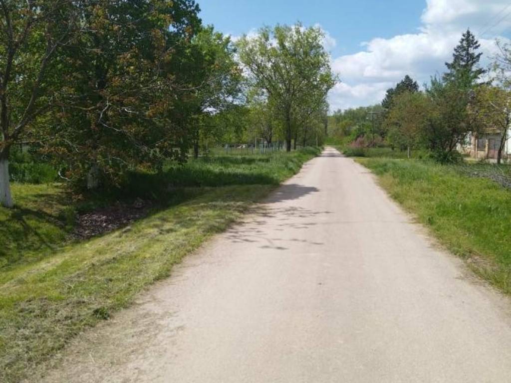 Foto 15